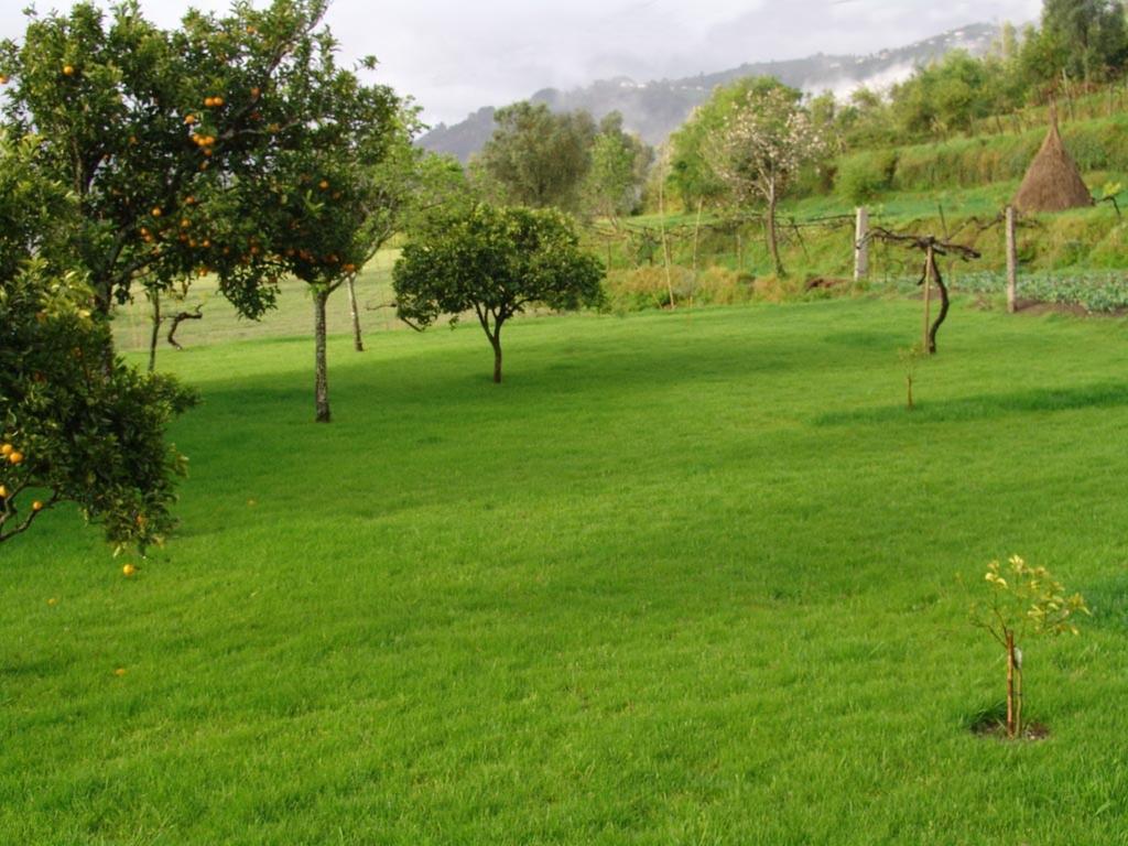 Apartmán Quinta De Santa Marinha Arcos de Valdevez Exteriér fotografie