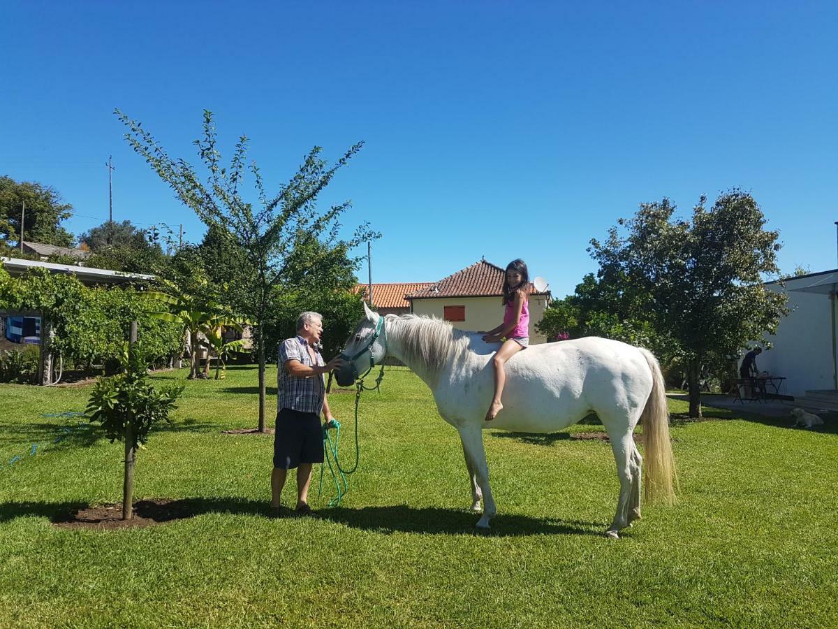 Apartmán Quinta De Santa Marinha Arcos de Valdevez Exteriér fotografie