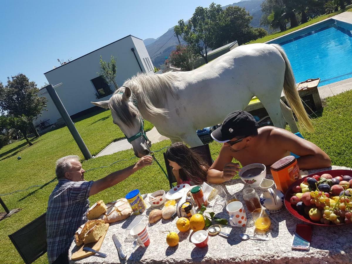 Apartmán Quinta De Santa Marinha Arcos de Valdevez Exteriér fotografie